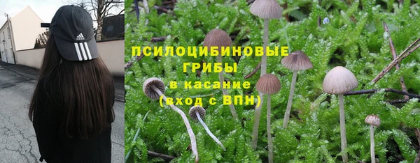 твердый Тобольск